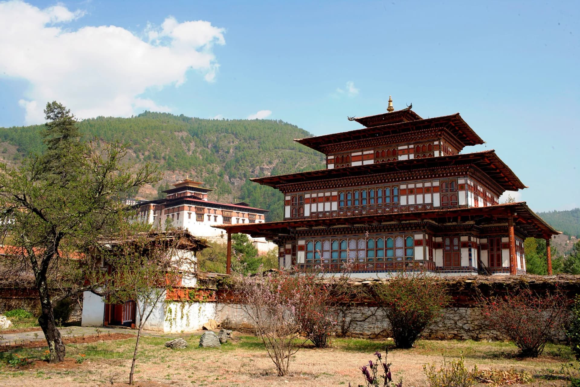 Ugyen Pelri Palace Garden & Paro Riverside Stroll