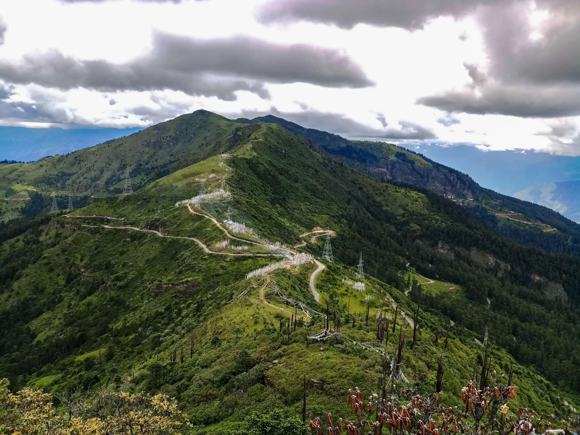 29 October – Paro to Chele La: Where Earth Meets Sky