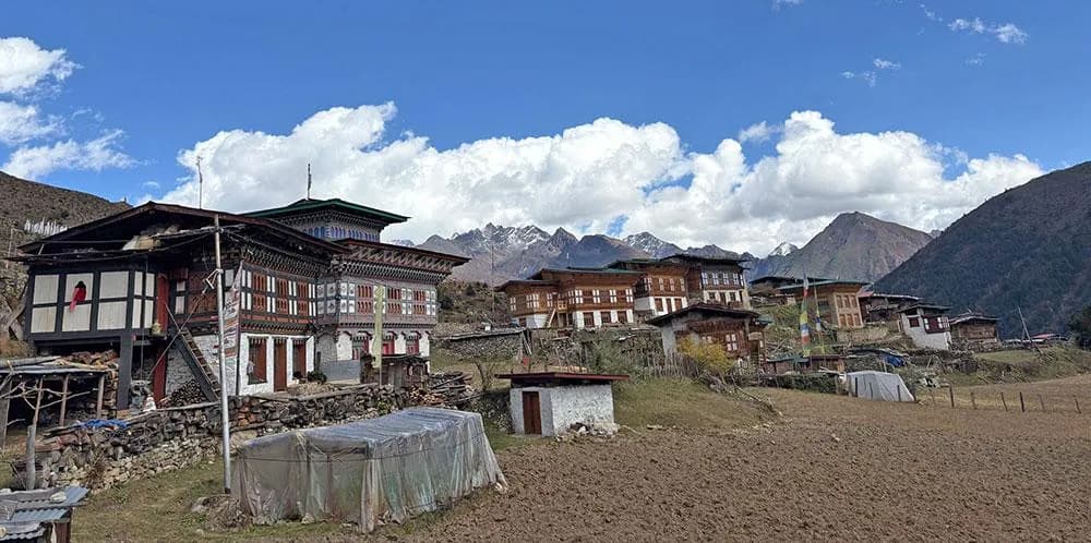 Laya Community Guesthouse
