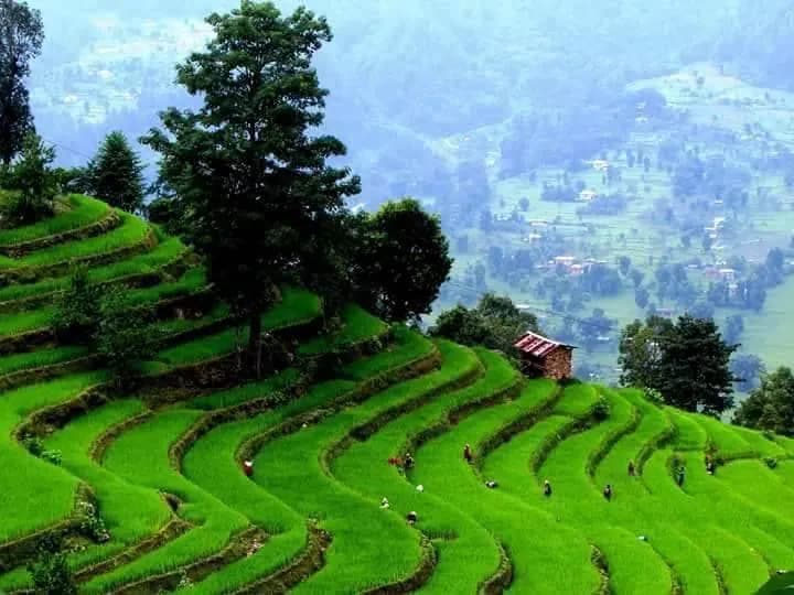 Tsirang
