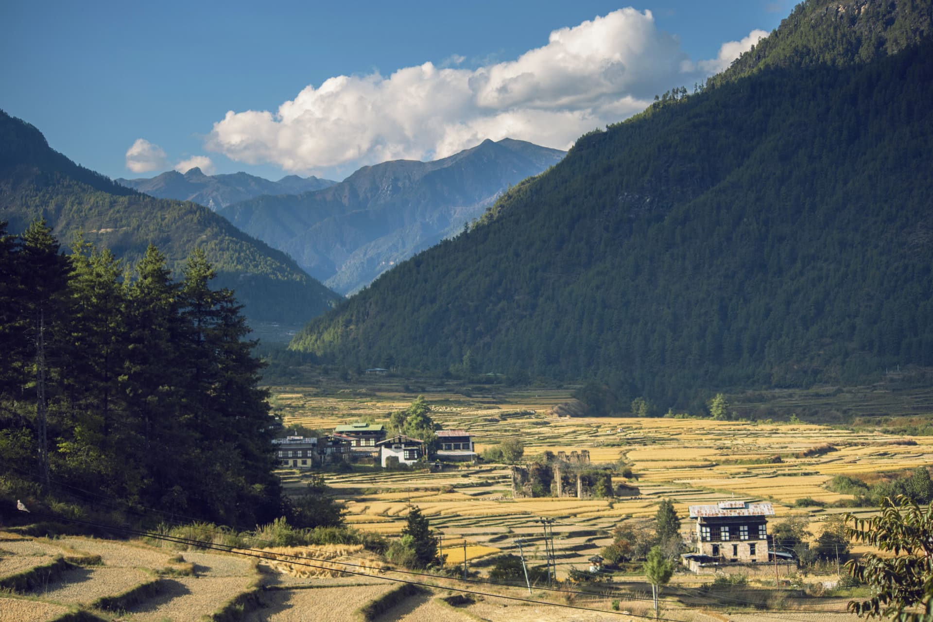 Bhutan landscape