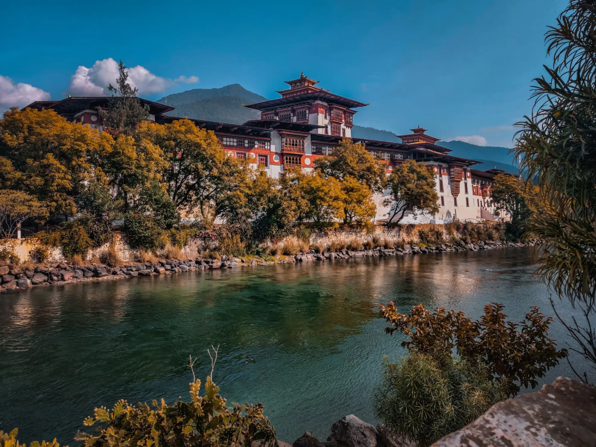 Punakha Dzong and Riverside Walk